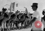 Image of Camel Corps Algeria, 1957, second 28 stock footage video 65675055742