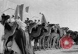 Image of Camel Corps Algeria, 1957, second 29 stock footage video 65675055742
