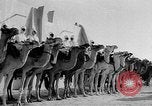 Image of Camel Corps Algeria, 1957, second 30 stock footage video 65675055742
