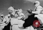 Image of Camel Corps Algeria, 1957, second 32 stock footage video 65675055742