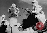 Image of Camel Corps Algeria, 1957, second 34 stock footage video 65675055742