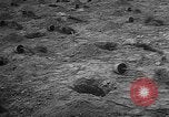Image of tree plantation Italy, 1958, second 6 stock footage video 65675055752