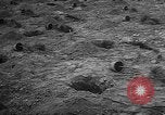 Image of tree plantation Italy, 1958, second 7 stock footage video 65675055752