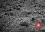 Image of tree plantation Italy, 1958, second 8 stock footage video 65675055752