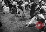 Image of tree plantation Italy, 1958, second 10 stock footage video 65675055752