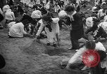 Image of tree plantation Italy, 1958, second 11 stock footage video 65675055752