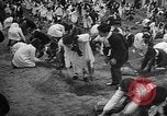 Image of tree plantation Italy, 1958, second 12 stock footage video 65675055752