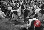Image of tree plantation Italy, 1958, second 13 stock footage video 65675055752