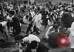Image of tree plantation Italy, 1958, second 14 stock footage video 65675055752