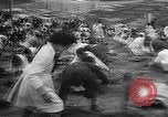Image of tree plantation Italy, 1958, second 16 stock footage video 65675055752