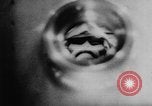 Standbild Platz Affen Cape Canaveral Florida USA, 1959, aus Sekunde 30 historischem Filmmaterial Videoclip 65675055767