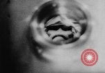 Standbild Platz Affen Cape Canaveral Florida USA, 1959, aus Sekunde 31 historischem Filmmaterial Videoclip 65675055767
