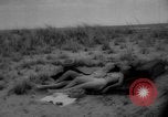 Standbild Mode für Feiertage Niederländische Antillen, 1959, aus Sekunde 58 historischem Filmmaterial Videoclip 65675055775