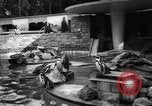 Immagine di I bambini allo zoo Canada, 1959, secondo 12 filmato di repertorio 65675055776