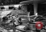 Immagine di I bambini allo zoo Canada, 1959, secondo 14 filmato di repertorio 65675055776