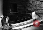 Immagine di I bambini allo zoo Canada, 1959, secondo 16 filmato di repertorio 65675055776