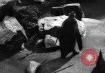 Immagine di I bambini allo zoo Canada, 1959, secondo 19 filmato di repertorio 65675055776