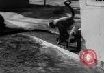 Immagine di I bambini allo zoo Canada, 1959, secondo 30 filmato di repertorio 65675055776