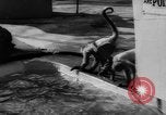Immagine di I bambini allo zoo Canada, 1959, secondo 33 filmato di repertorio 65675055776