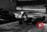 Immagine di I bambini allo zoo Canada, 1959, secondo 36 filmato di repertorio 65675055776