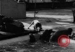 Immagine di I bambini allo zoo Canada, 1959, secondo 37 filmato di repertorio 65675055776