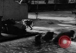 Immagine di I bambini allo zoo Canada, 1959, secondo 39 filmato di repertorio 65675055776