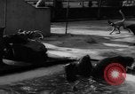 Immagine di I bambini allo zoo Canada, 1959, secondo 40 filmato di repertorio 65675055776
