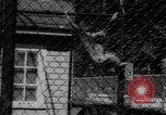 Immagine di I bambini allo zoo Canada, 1959, secondo 49 filmato di repertorio 65675055776