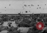 Image pingouins Santa Cruz Province Argentine, 1960, de la seconde 16 séquences d'archives historiques vidéo 65675055784