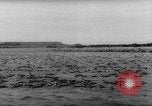 Image pingouins Santa Cruz Province Argentine, 1960, de la seconde 44 séquences d'archives historiques vidéo 65675055784