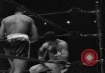 Image of Golden Gloves Final New York United States USA, 1960, second 35 stock footage video 65675055785
