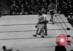 Image of Golden Gloves Final New York United States USA, 1960, second 46 stock footage video 65675055785