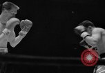 Image of Golden Gloves Final New York United States USA, 1960, second 53 stock footage video 65675055785