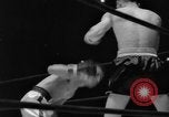 Image of Golden Gloves Final New York United States USA, 1960, second 60 stock footage video 65675055785