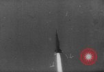 Image of Soviet space dogs Strelka and Belka Russia Soviet Union, 1961, second 16 stock footage video 65675055788