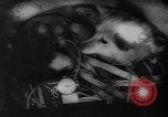 Image of Soviet space dogs Strelka and Belka Russia Soviet Union, 1961, second 36 stock footage video 65675055788