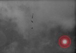 Image of Soviet space dogs Strelka and Belka Russia Soviet Union, 1961, second 39 stock footage video 65675055788