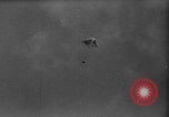 Image of Soviet space dogs Strelka and Belka Russia Soviet Union, 1961, second 42 stock footage video 65675055788