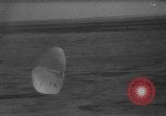 Image of Soviet space dogs Strelka and Belka Russia Soviet Union, 1961, second 43 stock footage video 65675055788