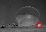 Image of Soviet space dogs Strelka and Belka Russia Soviet Union, 1961, second 46 stock footage video 65675055788