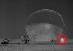 Image of Soviet space dogs Strelka and Belka Russia Soviet Union, 1961, second 47 stock footage video 65675055788