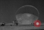 Image of Soviet space dogs Strelka and Belka Russia Soviet Union, 1961, second 48 stock footage video 65675055788