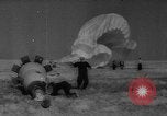 Image of Soviet space dogs Strelka and Belka Russia Soviet Union, 1961, second 49 stock footage video 65675055788