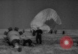 Image of Soviet space dogs Strelka and Belka Russia Soviet Union, 1961, second 50 stock footage video 65675055788