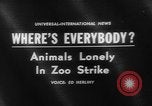Standbild Streik bei Zoo Bronx New York City USA, 1961, aus Sekunde 1 historischem Filmmaterial Videoclip 65675055791