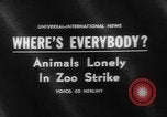 Standbild Streik bei Zoo Bronx New York City USA, 1961, aus Sekunde 5 historischem Filmmaterial Videoclip 65675055791