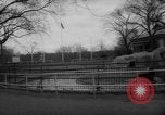 Standbild Streik bei Zoo Bronx New York City USA, 1961, aus Sekunde 24 historischem Filmmaterial Videoclip 65675055791