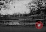 Standbild Streik bei Zoo Bronx New York City USA, 1961, aus Sekunde 25 historischem Filmmaterial Videoclip 65675055791