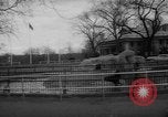 Standbild Streik bei Zoo Bronx New York City USA, 1961, aus Sekunde 27 historischem Filmmaterial Videoclip 65675055791