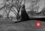 Standbild Streik bei Zoo Bronx New York City USA, 1961, aus Sekunde 28 historischem Filmmaterial Videoclip 65675055791